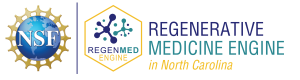 Regenerative Medicine Engine